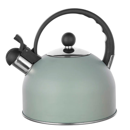 2de kansje Altom Design Daily fluitketel RVS mat mint groen 2.5 Liter  - ook geschikt voor inductie