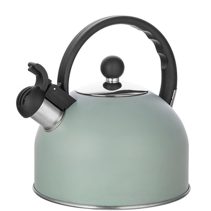 2de kansje Altom Design Daily fluitketel RVS mat mint groen 2.5 Liter  - ook geschikt voor inductie