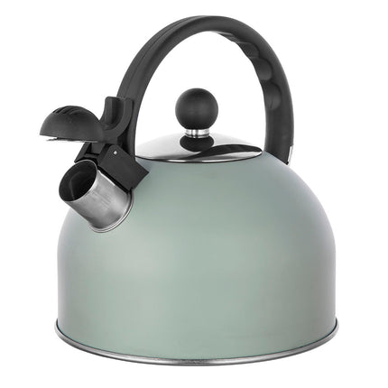 2de kansje Altom Design Daily fluitketel RVS mat mint groen 2.5 Liter  - ook geschikt voor inductie