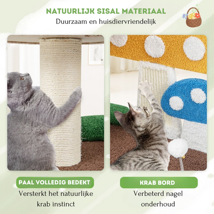 Krabpaal voor katten Paddenstoellook 60 x 49 x 59 cm - Kattenboom met Kattenmand - Sisal Krabplank en Speelbal