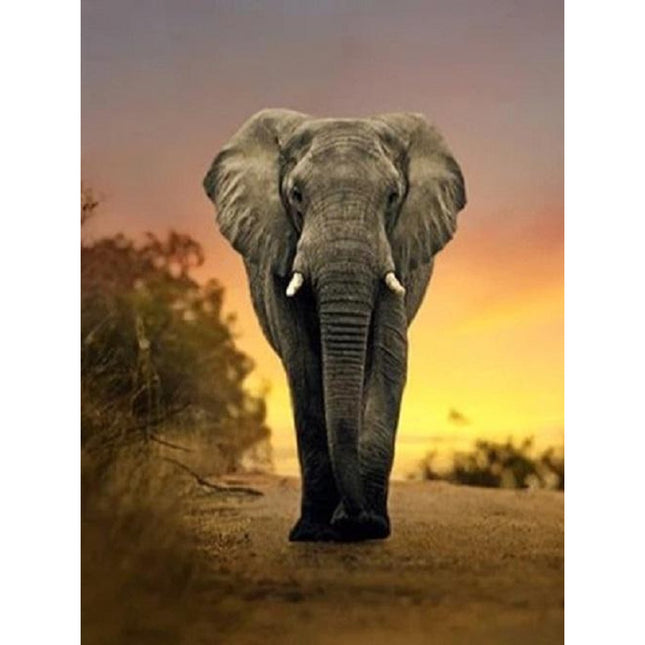 Evershine diamond painting voor volwassenen olifant TA2-3232 vierkante steentjes 20 X 30